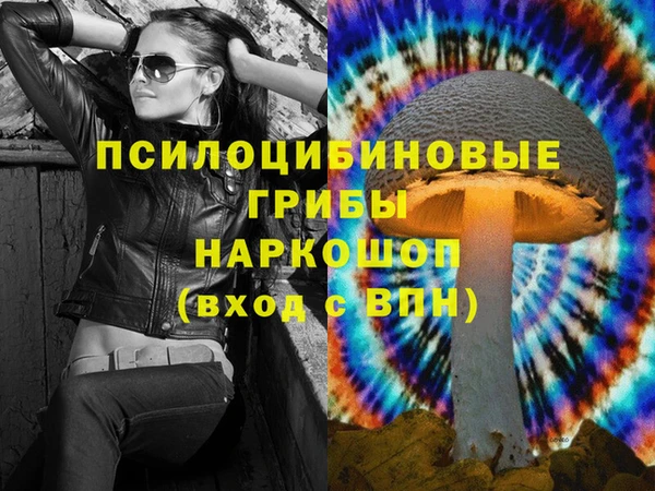 2c-b Лагань