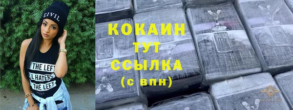 твердый Ладушкин