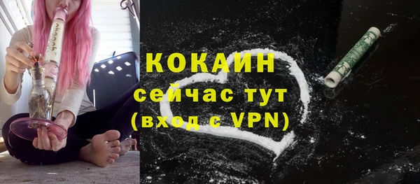 твердый Ладушкин