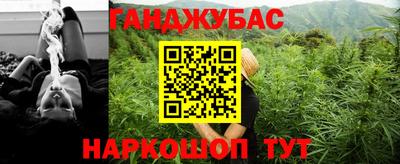 сатива Кандалакша