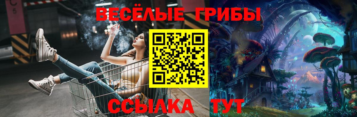 Галлюциногенные грибы прущие грибы Коряжма
